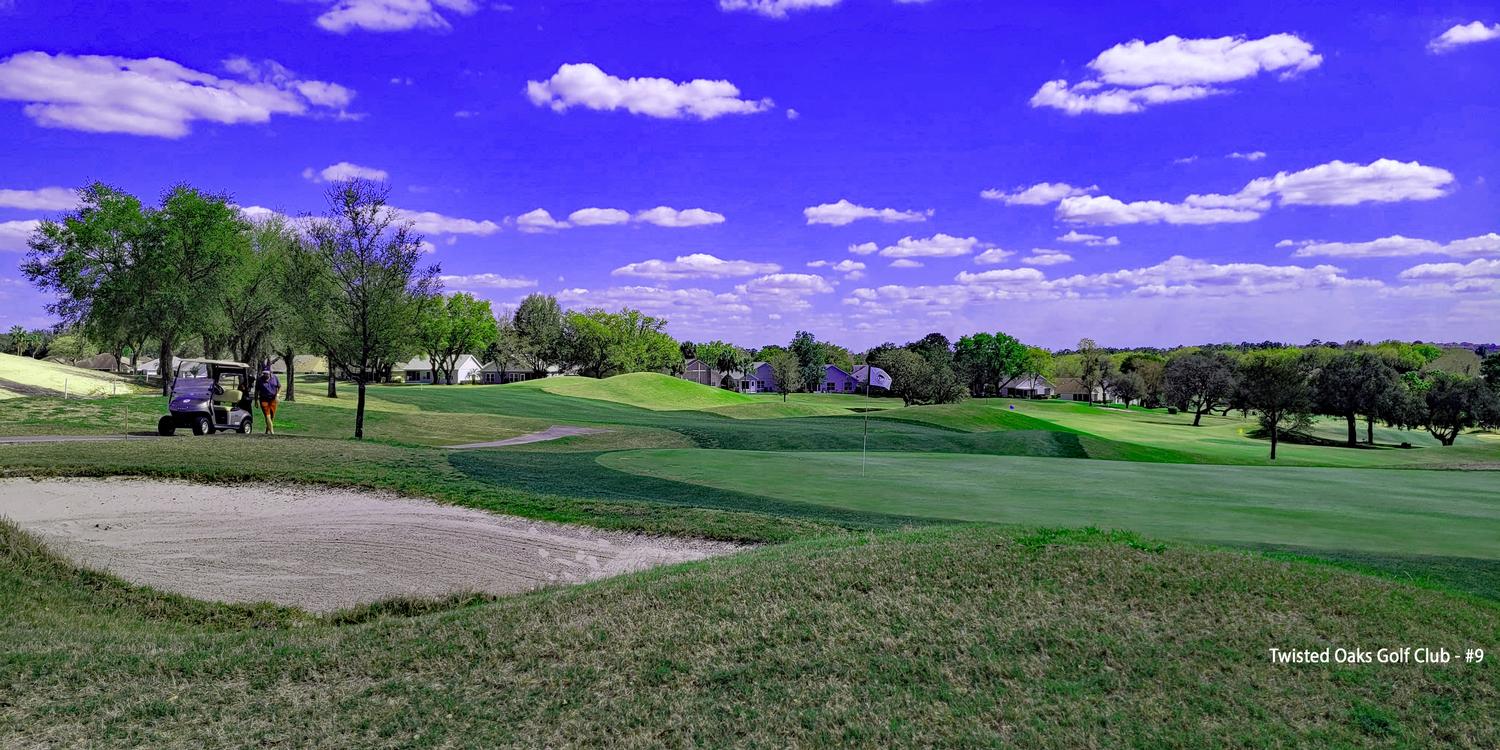 Twisted Oaks Golf Club By David Theoret